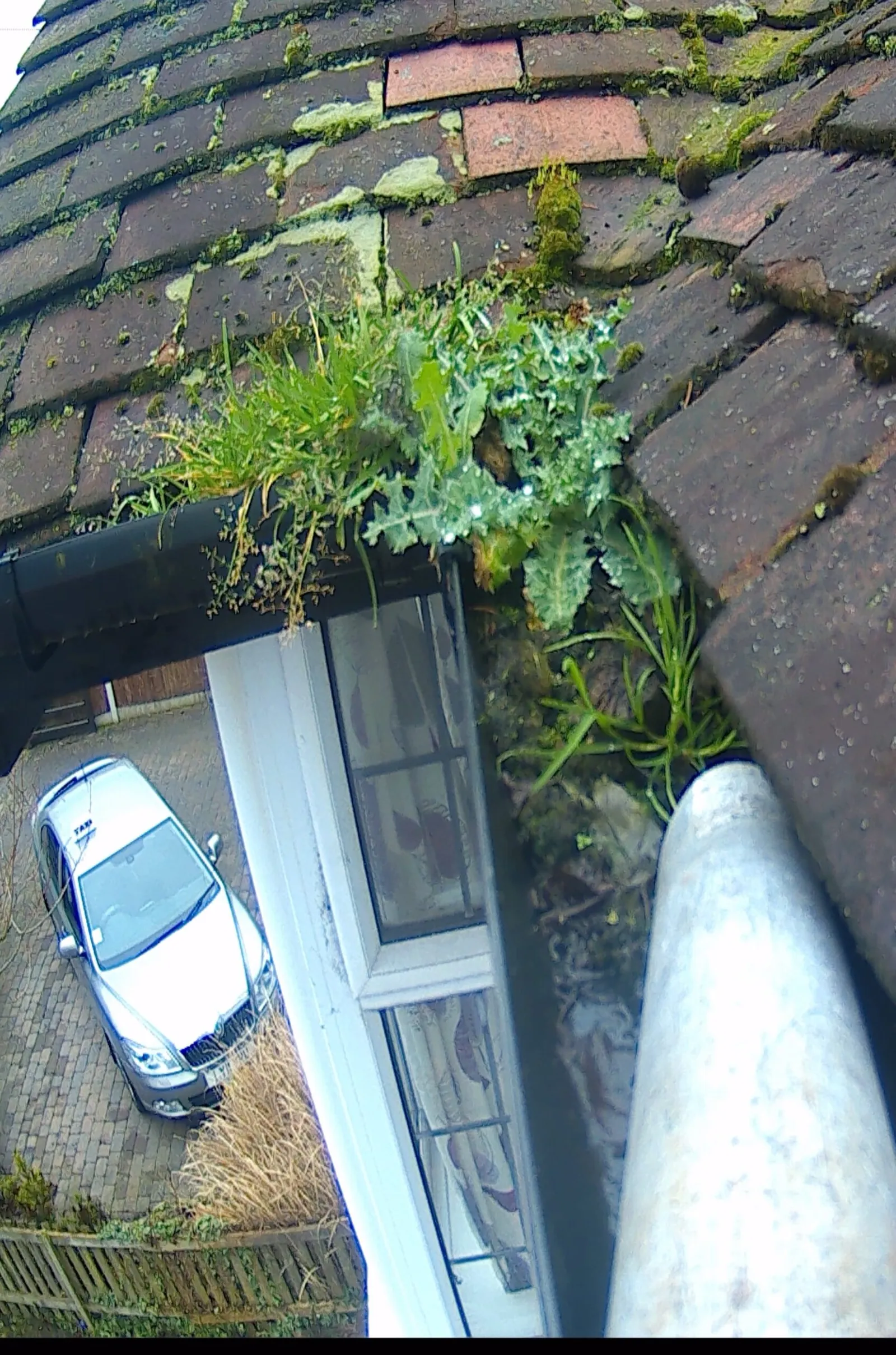 gutter cleaning Derby