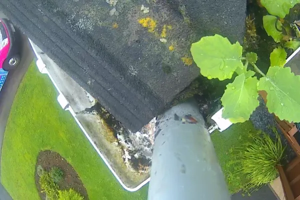 Gutter cleaning - camera monitored high powered vacuum.