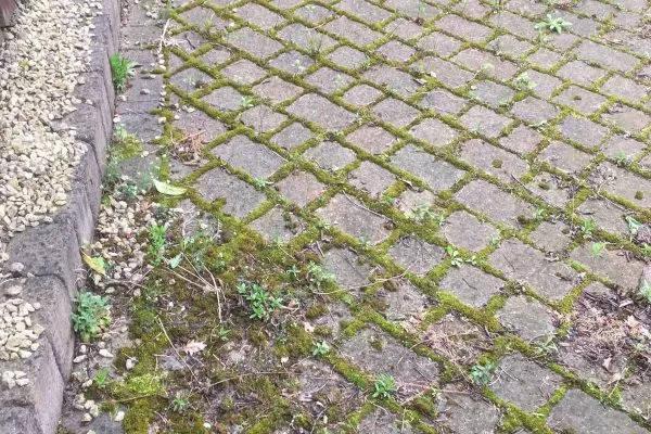 Patio Cleaning